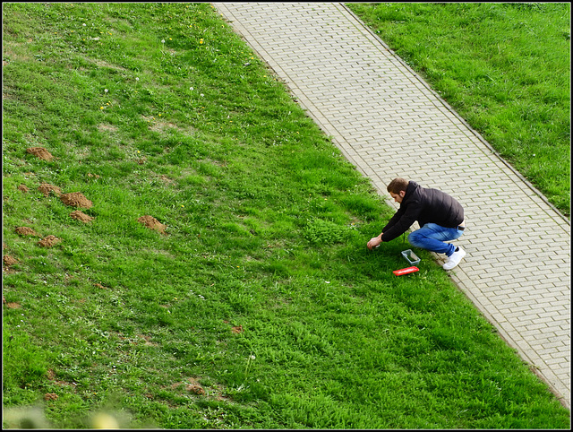 Strange Grass cutter