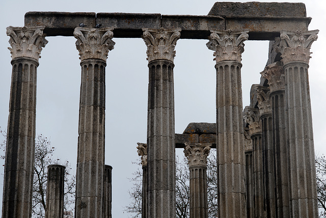 Évora, Templo de Diana