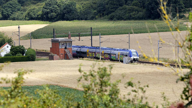 Train-train quotidien.....