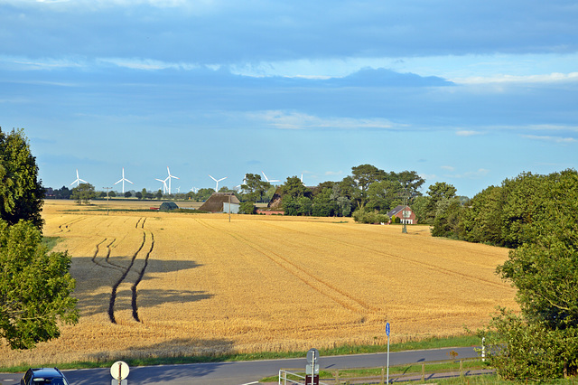 Energie und Getreideland Schleswig-Holstein