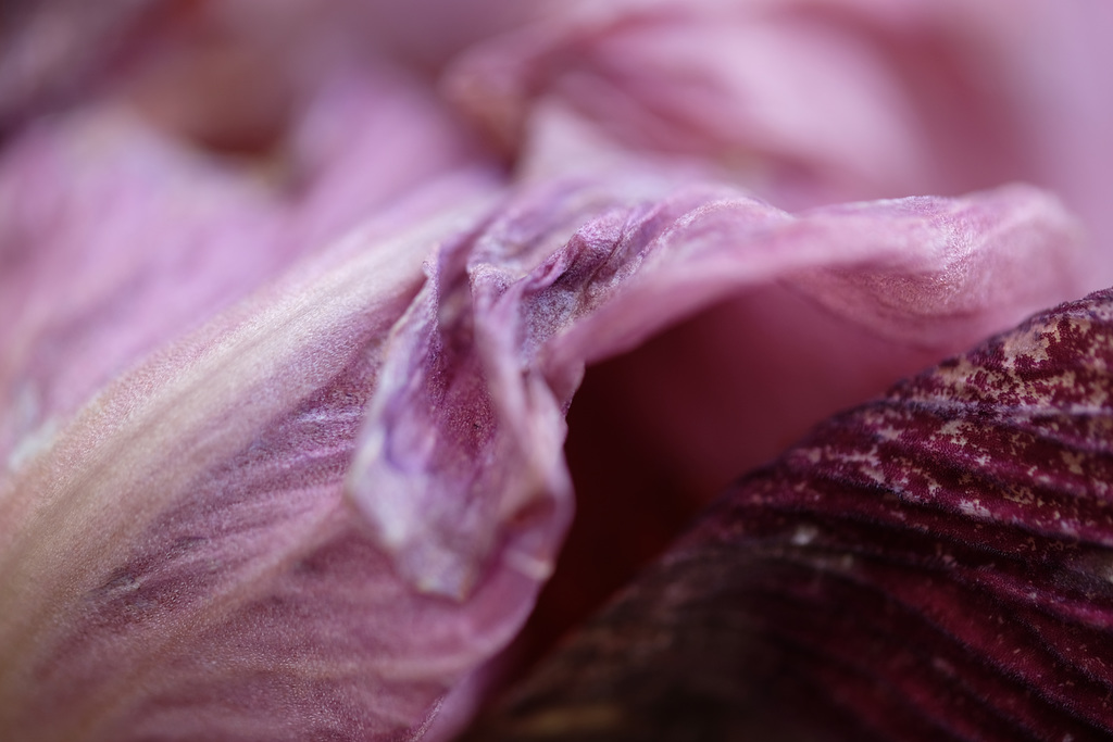DSCF8683