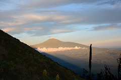 Congo, Mount Karisimbi (4507 m) Viewed from the Ascent to Nyiragongo Volcano