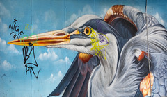 Grey Heron Mural
