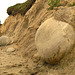 Moeraki Boulders - getting exposed