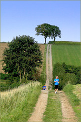 Running through the Fields...