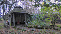 Autumn colours by the gazebo, with peat smoke