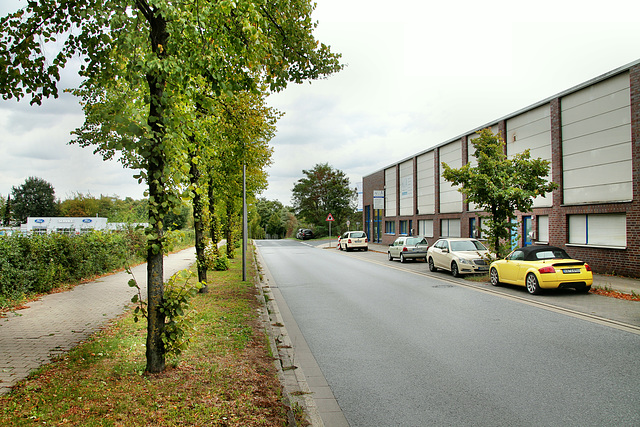 Europastraße (Gladbeck-Brauck) / 22.09.2018