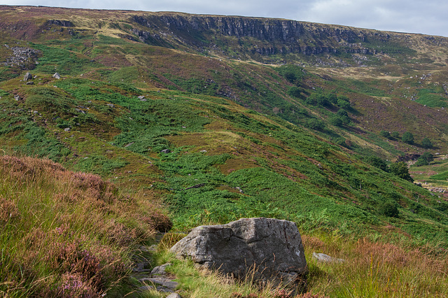 The Pennine Way path to Laddow Rocks