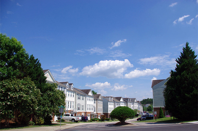 Suburban Street