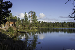 Pinetree Lodge am Saarijärvi (© Buelipix)