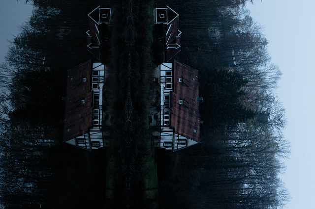 Wald, Horn Bad-Meinberg