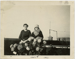 Late Blooming Chrysanthemums, 1923