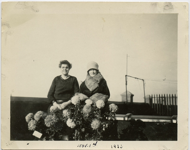 Late Blooming Chrysanthemums, 1923