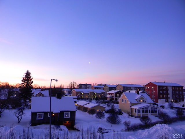 January Morning