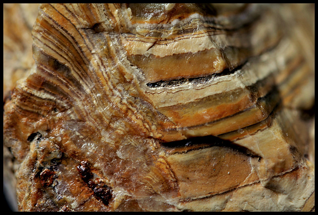 Agate , calcédoine rubanée  (2)