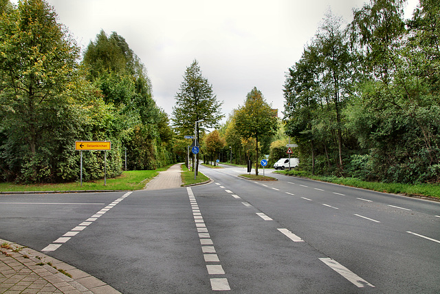 Brüsseler Straße (Gladbeck-Brauck) / 22.09.2018