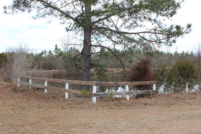 HFF EVERYONE.....A typical rural scene with a small pond....Georgia,   USA