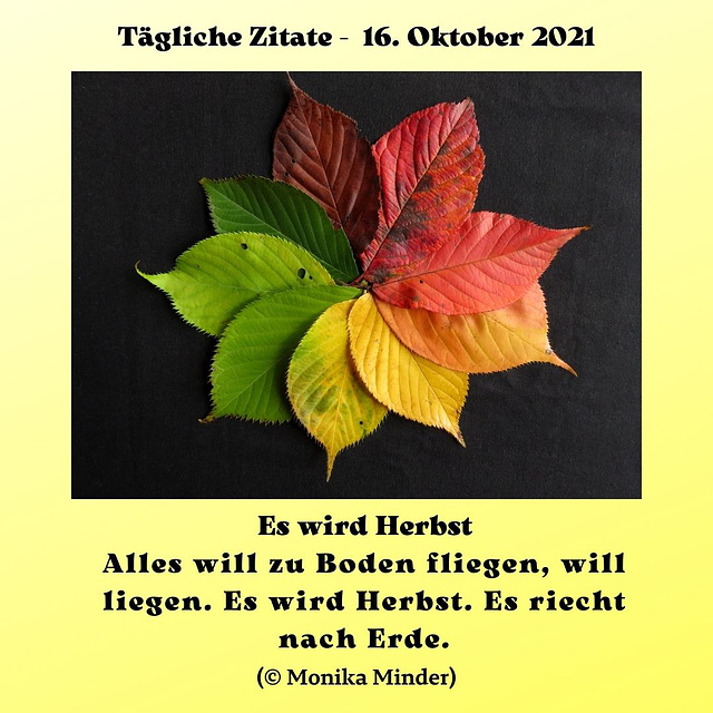 Tägliche Zitate - 16 Oktober 2021