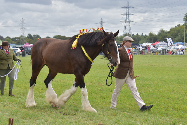 179thcasaug122023 (1251)