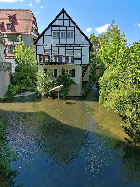 Wohnen am Fluss Wohnen am Fluss