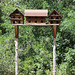 birdhouses