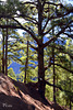 La Palma - Isla Verde, Nationalpark Caldera de Taburiente