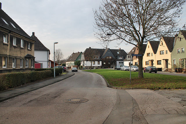 Friedrich-Engels-Straße (Siedlung Grümerbaum, Bochum-Hiltrop) / 10.12.2016