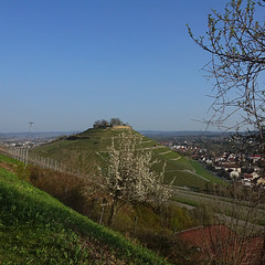 Weinsberg mit Ruine und Ortschaft