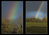 Rainbow and showers