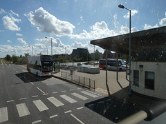 Tiger branded buses at Longstanton - 9 Sep 2025 (P1220315)