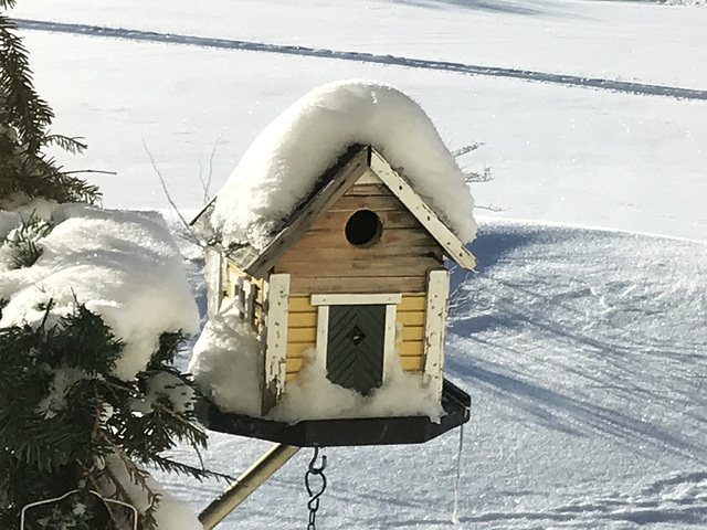 cute birdhouses