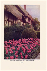 Garden Bulbs In Color (4), 1938/1945
