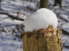 Der Winter ist zurück!