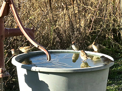 la récré...a sion la récré...a sion