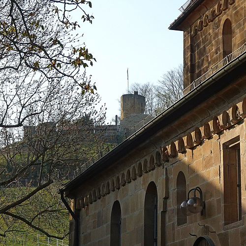 Ruine Weibertreu