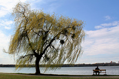 Lake Tata   HBM!