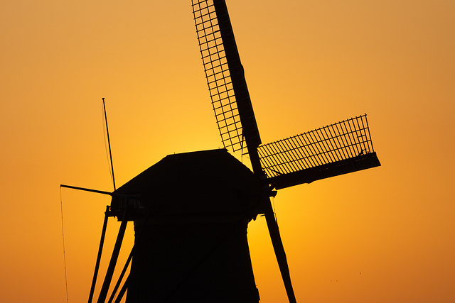 Niederlande - Kinderdijk