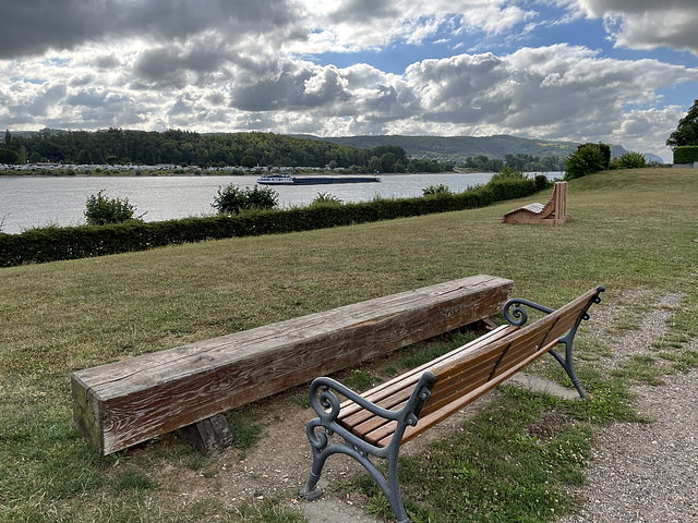 Bänke mit Rheinblick