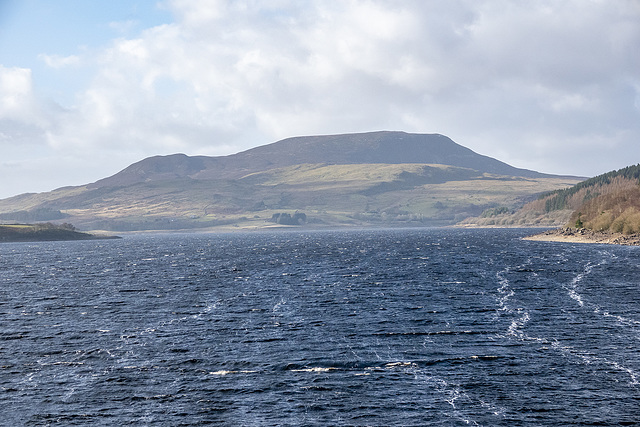 Llyn Celyn