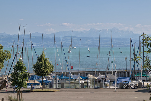 IMG 4169