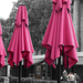 Les parasols de la Madeleine