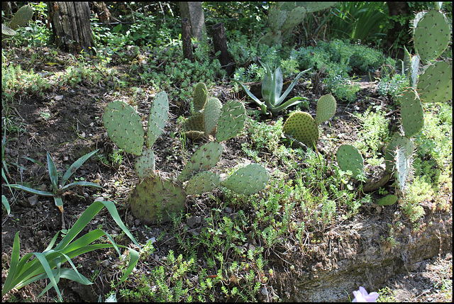 IMG 7072 (2)