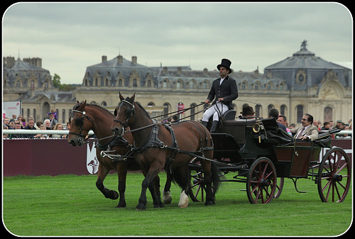 Prix de l'Arc de Triomphe 2017