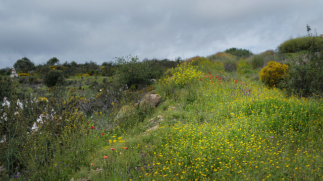 Penedos, Flowery path