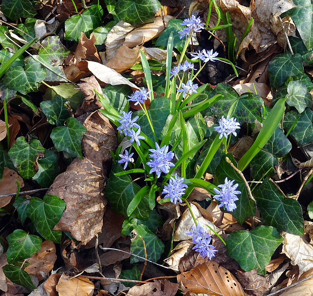 Der Frühling setzt sich durch