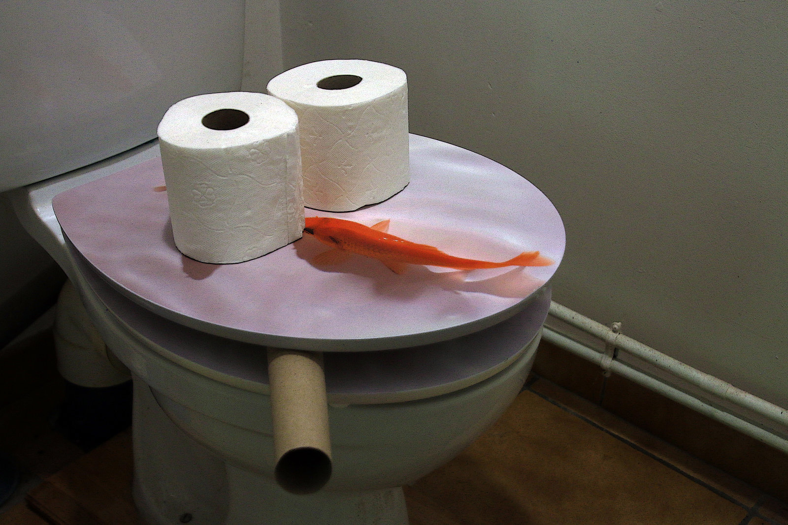 Absent , j'avais toujours une inquiétude concernant la santé mentale de l'abattant , et bien la déprime de la lunette WC est une légende , la preuve .