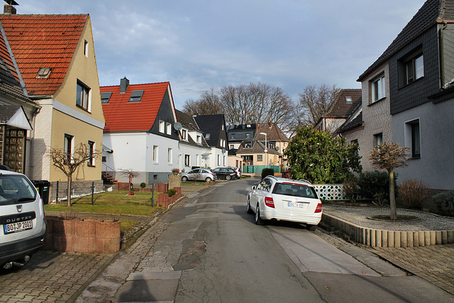 Ferdinand-Lassalle-Straße (Siedlung Grümerbaum, Bochum-Hiltrop) / 10.12.2016