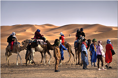 Camel Rides, Erg Chebbi, Morocco