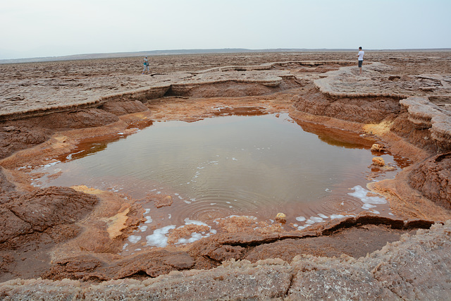 Ethiopia, Danakil Depression, Northeast Spring of the Gaet'ale Pond