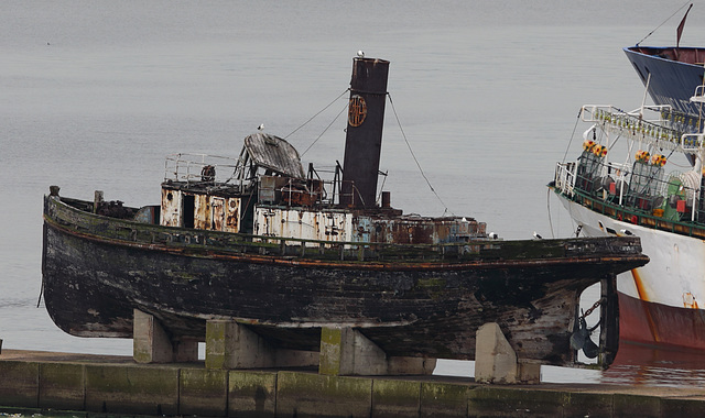 Steam Tug